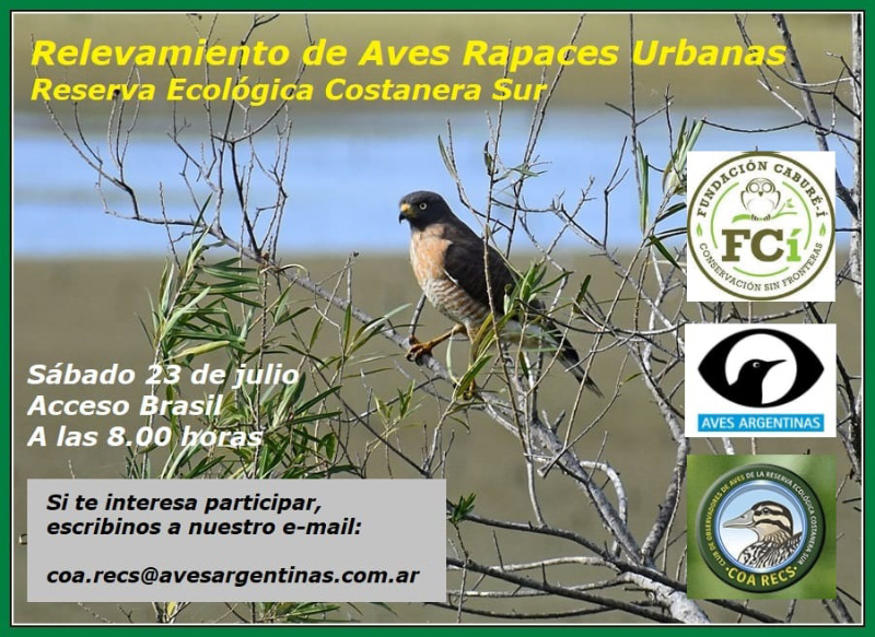 Relevamiento de aves rapaces - 23 de julio de 2022