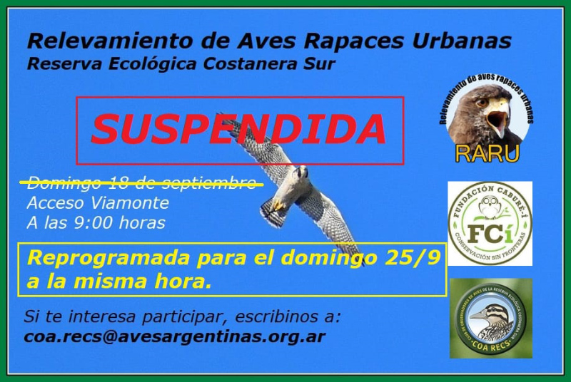 Relevamiento de aves rapaces urbanas