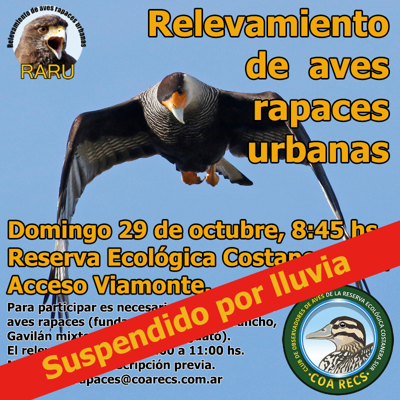 Relevamiento de Aves Rapaces Urbanas
