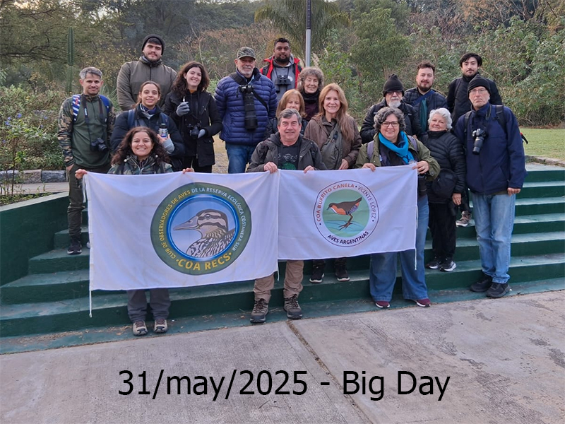 Big day - 31 de mayo