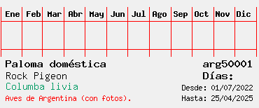 Estadisticas