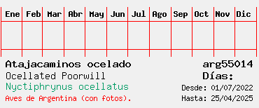 Estadisticas