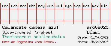 Estadisticas