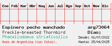 Estadisticas