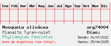 Estadisticas