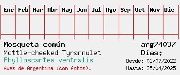 Estadisticas