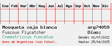 Estadisticas