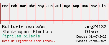 Estadisticas