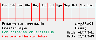 Estadisticas