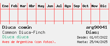 Estadisticas