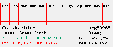 Estadisticas