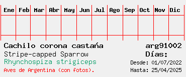 Estadisticas