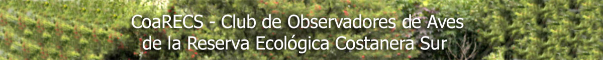 CoaRECS - Club de Observadores de Aves de la Reserva Ecolgica Costanera Sur