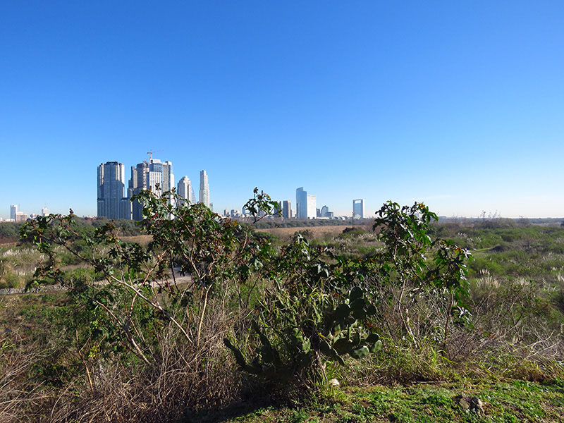 Foto: Sergio Cusano