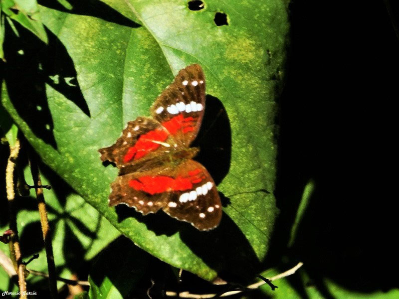 Foto: Héctor Horacio García