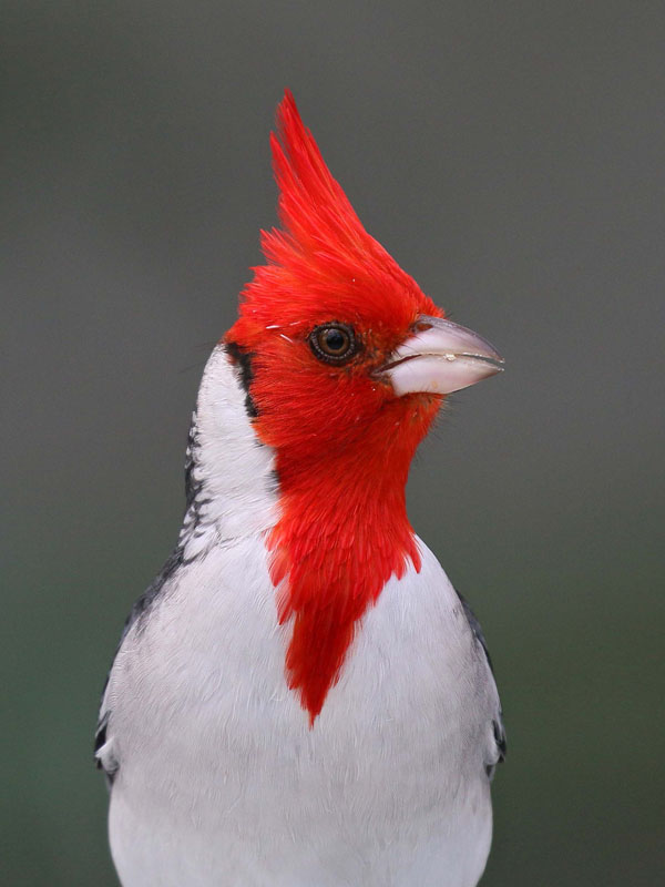 Foto: José Luis Blázquez