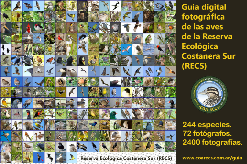 Guía Digital Fotográfica de las Aves de la RECS