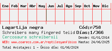 Estadisticas